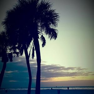 Meet your Posher, Vicky